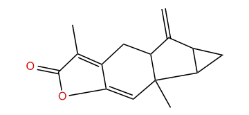 Chloranthalactone A